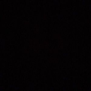 Meet your Posher, Delaney